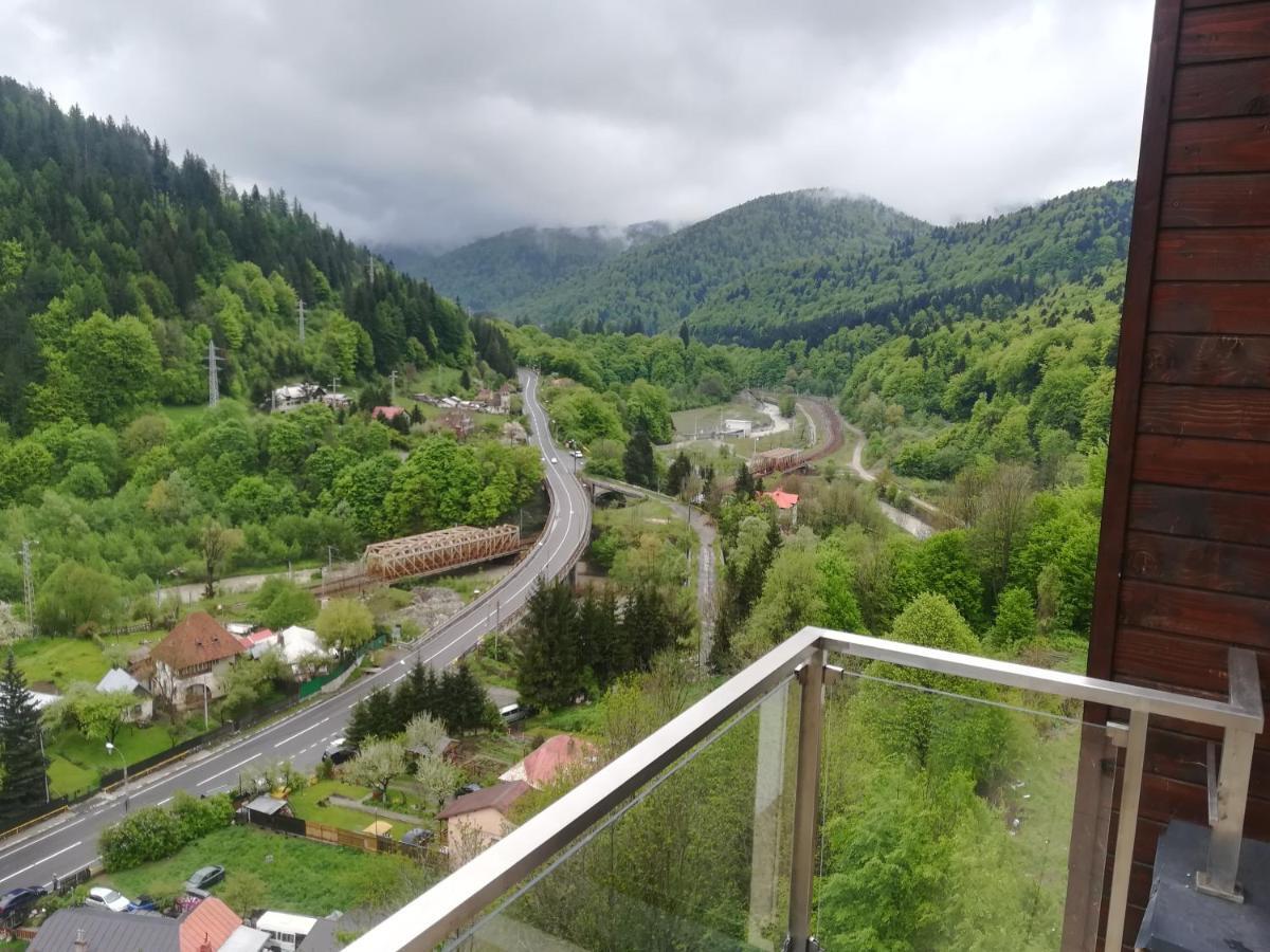 Sinaia Q Marie Apartment Eksteriør bilde