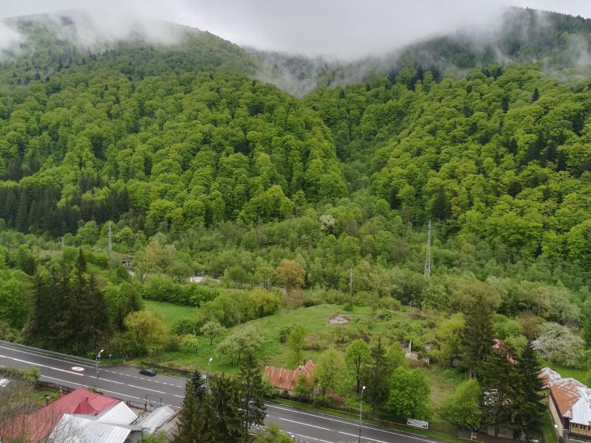 Sinaia Q Marie Apartment Eksteriør bilde